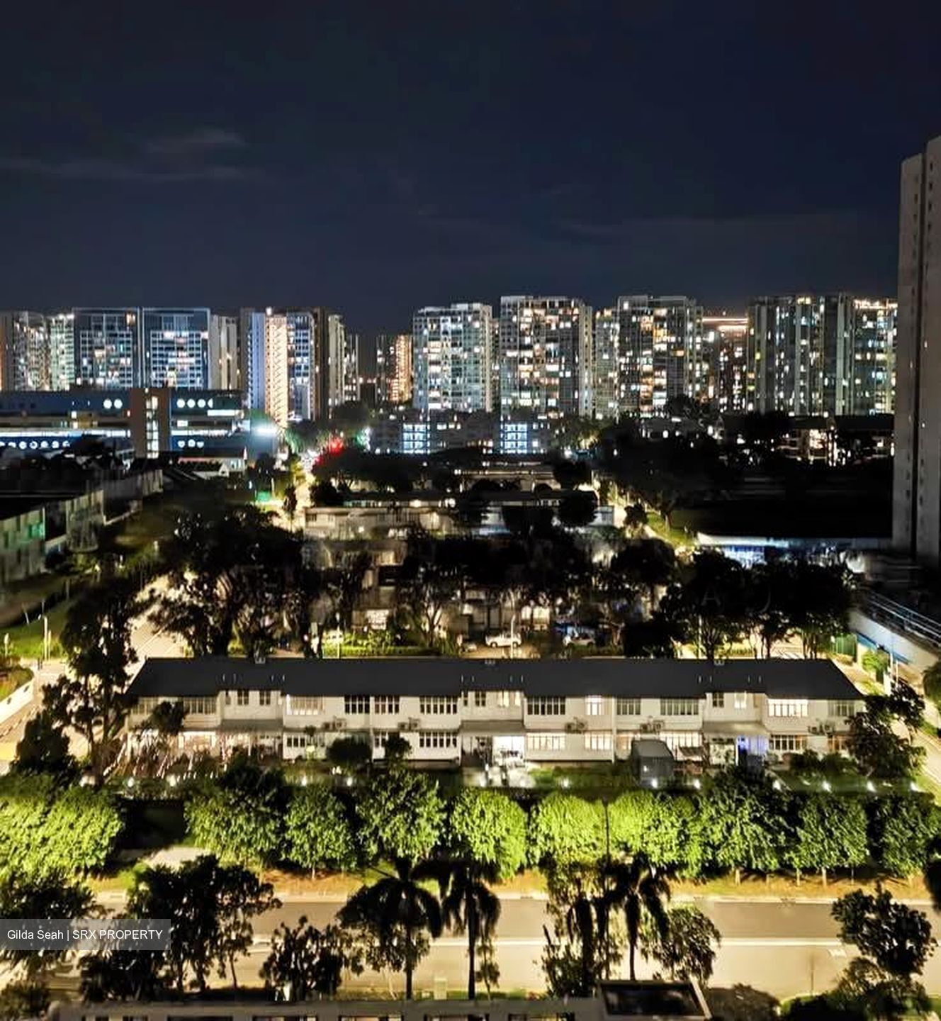 Haig 162 (D15), Apartment #579347471